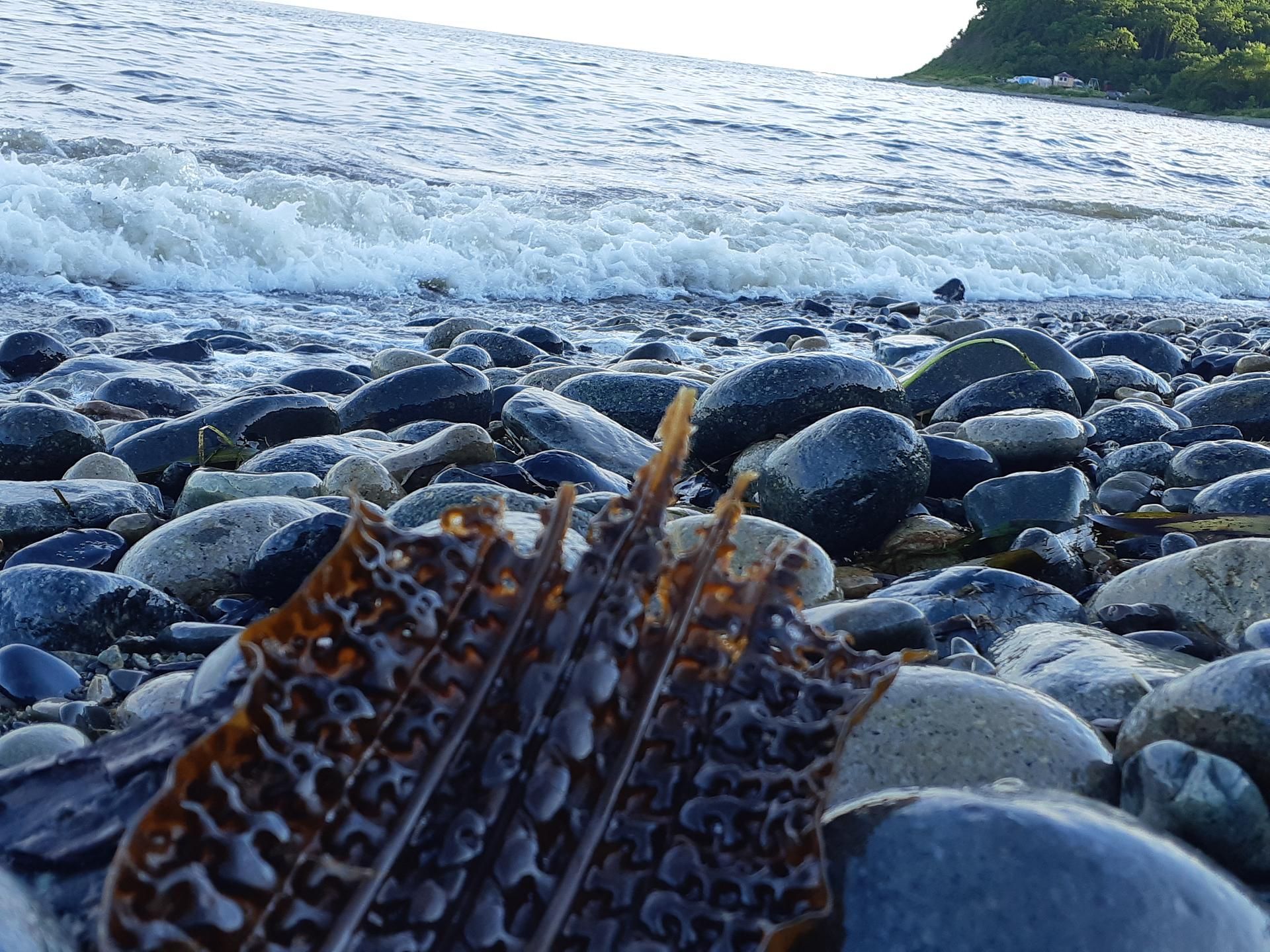 Барбекю на островах, морские угощения от водолаза т катание на водном скутере. Приморский край.