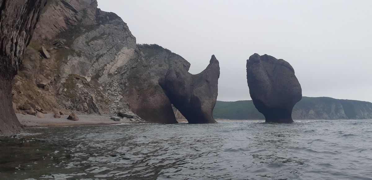 Приморский край. От острова Фуругельма до хребтов Сихотэ-Алинь.