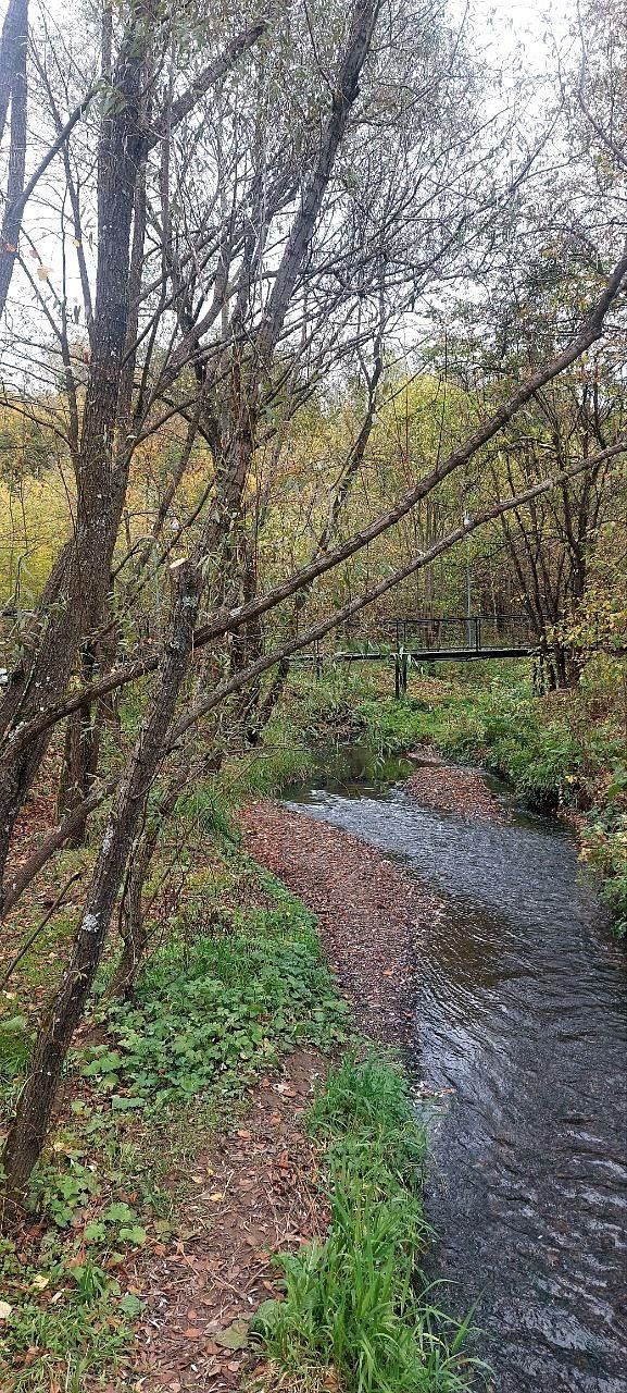 "Рождение Перми " Пешеходная экскурсия